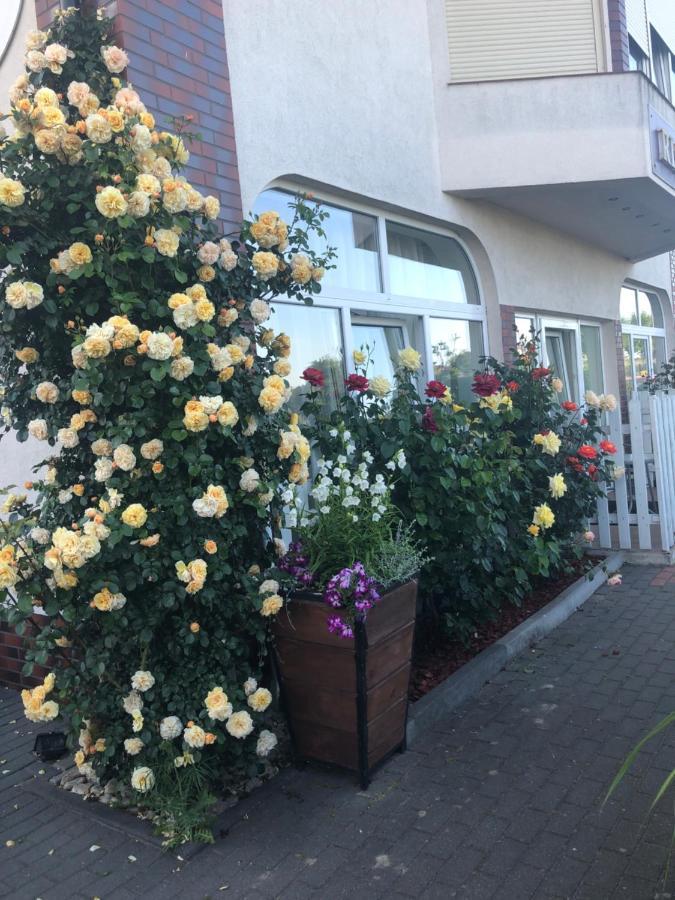 Rezydencja Lux Rewa Exteriér fotografie